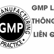 GMP – GMP là gì? Những điều cần biết về GMP
