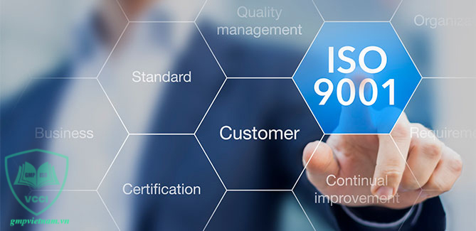 tư vấn ISO 9001